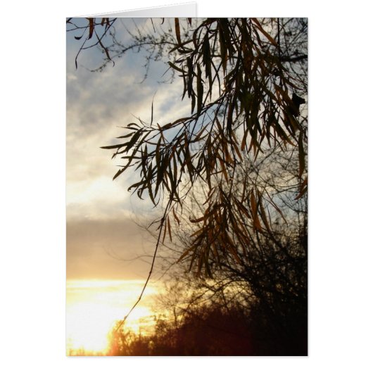 Wie die Sonne Set (Vorne)