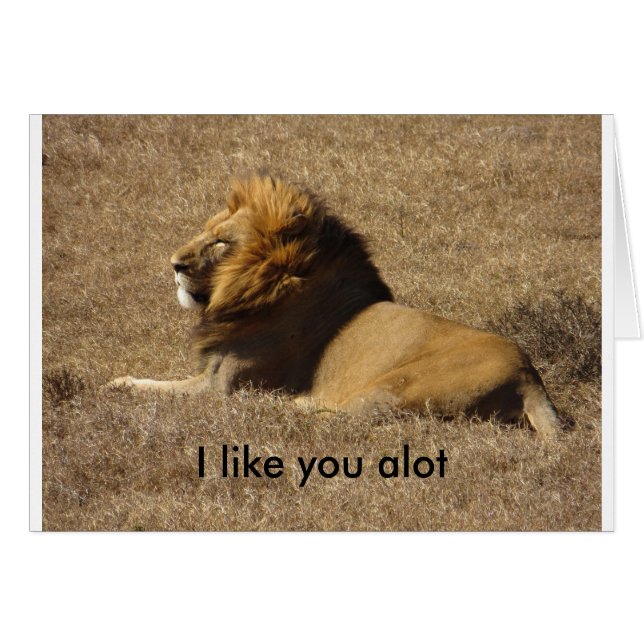 Wie du viel (Vorderseite (Horizontal))