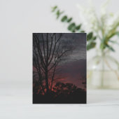 Wie dunkle Ansätze Postkarte (Stehend Vorderseite)