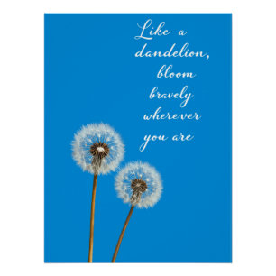 Wie ein Dandelion Bloom Bravely Wo auch immer du b Poster