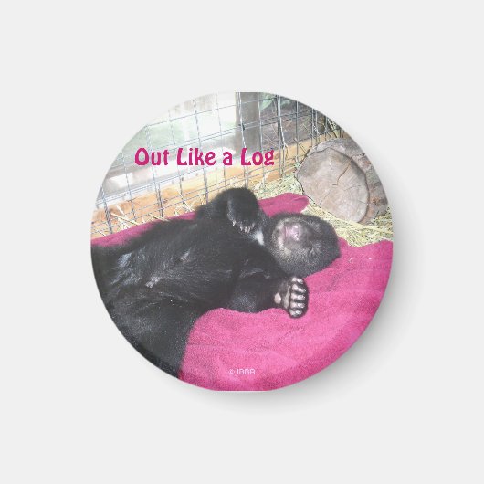 Wie ein Log-Magnet Magnet (Vorne)