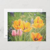 Wie ein schönes Stillleben Postkarte (Vorne/Hinten)