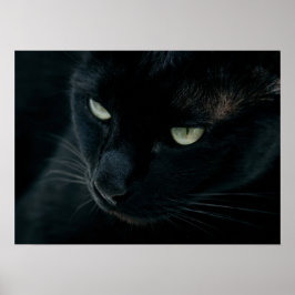 Wie ein schwarzer Panther Poster