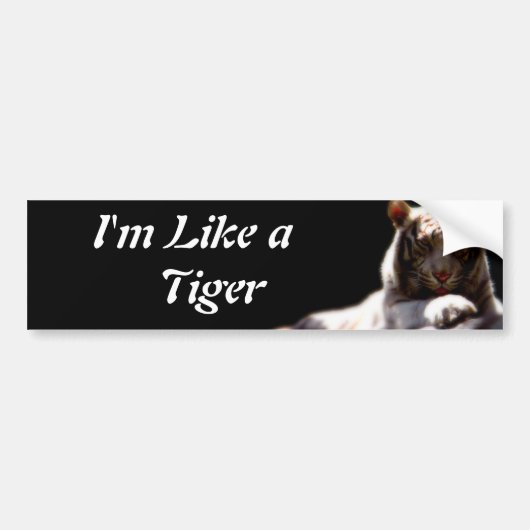 Wie ein Tiger Autoaufkleber (Vorne)