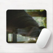 Wie ein TraumMousepad Mousepad (Mit Mouse)