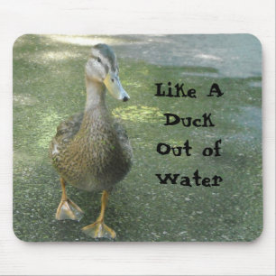 Wie eine Ente außer Wasser Mousepad
