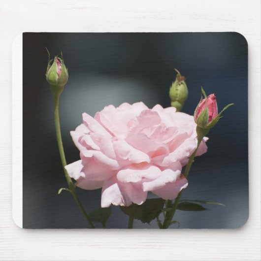 wie eine Rose Mousepad (Vorne)