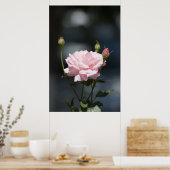 Wie eine Rose Poster (Küche)