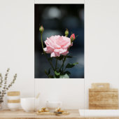 wie eine Rose Poster (Küche)
