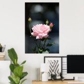 wie eine Rose Poster (Heimbüro)