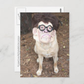 Wie gefällt dir mein Kostüm? Postkarte (Vorne/Hinten)