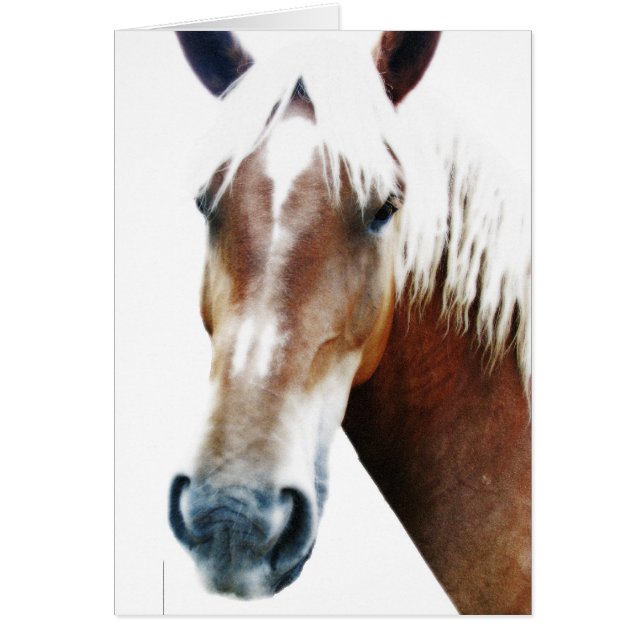 Wie geht es dir? (Vorne)