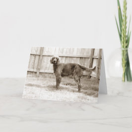 Wie geht es dir? karte