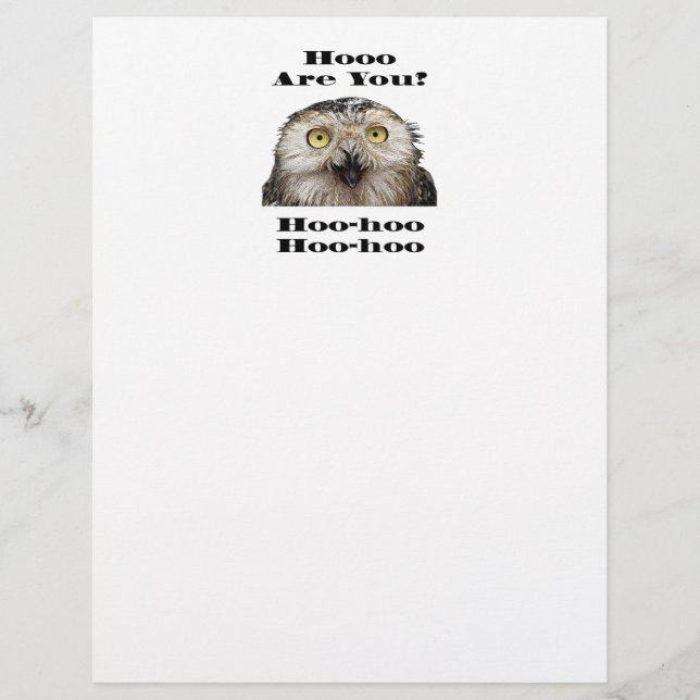 Wie geht es dir? Owl Wer bist du? (Vorderseite)
