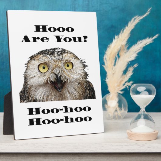 Wie geht es dir? Owl Wer bist du? Fotoplatte (Seite)