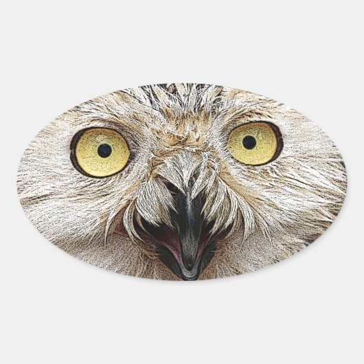 Wie geht es dir? Owl Wer bist du? Ovaler Aufkleber (Vorderseite)