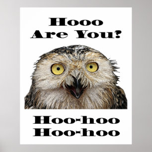 Wie geht es dir? Owl Wer bist du? Poster