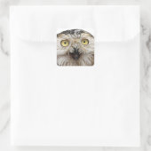 Wie geht es dir? Owl Wer bist du? Quadratischer Aufkleber (Tasche)