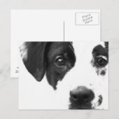 Wie geht es dir? postkarte (Vorne/Hinten)