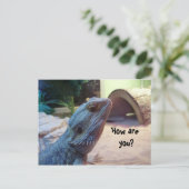 Wie geht es dir? postkarte (Stehend Vorderseite)