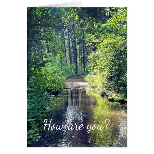 Wie geht es dir? Waldsee Wilderness Friedliche Lan (Vorne)