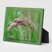 Wie Gras Foto Plaque wächst Fotoplatte (Seite)