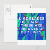 WIE GRASS-BLADES POSTKARTE (Vorne/Hinten)