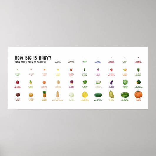 Wie groß ist Baby? Fruchtposter der Schwangerschaf Poster (Vorne)