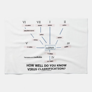 Wie gut kennen Sie Virus-Klassifikation? Geschirrtuch