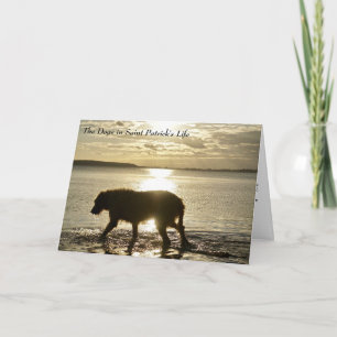 Wie Hunde St. Patrick Inspiriert haben Karte