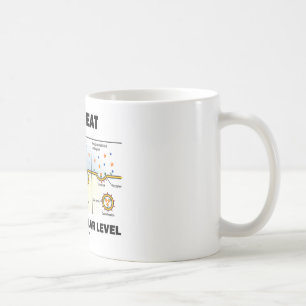 Wie ich esse auf dem zellulären Niveau Kaffeetasse