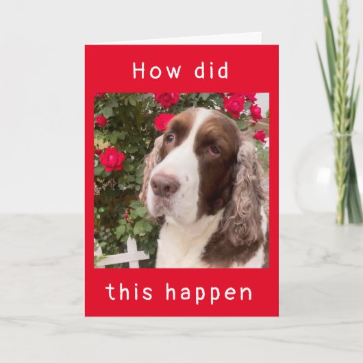 WIE IST DAS PASSIERT? "HAPPY 12. BIRTHDAY"-Karte Karte (Vorderseite)