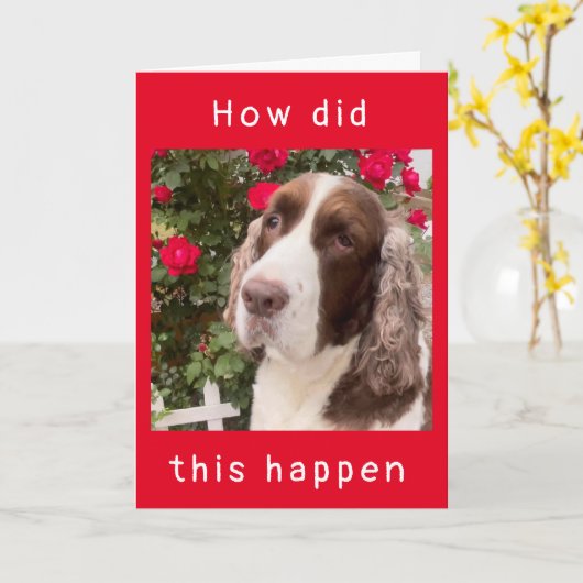 WIE IST DAS PASSIERT? "HAPPY 12. BIRTHDAY"-Karte Karte (Gelbe Blume)