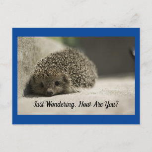Wie ist Ihr Igel Postcard? Postkarte