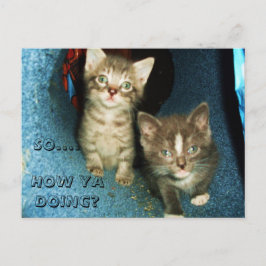 WIE JA TUT, KITTY-Postkarte Postkarte