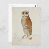 Wie jetzt Bay Owl? Postkarte (Vorne/Hinten)
