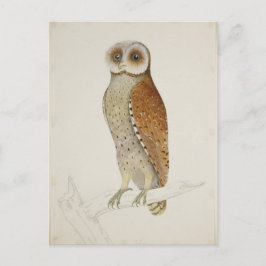 Wie jetzt Bay Owl? Postkarte