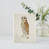 Wie jetzt Bay Owl? Postkarte (Stehend Vorderseite)