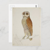Wie jetzt Bay Owl? Postkarte (Vorne/Hinten)