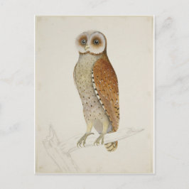 Wie jetzt Bay Owl? Postkarte