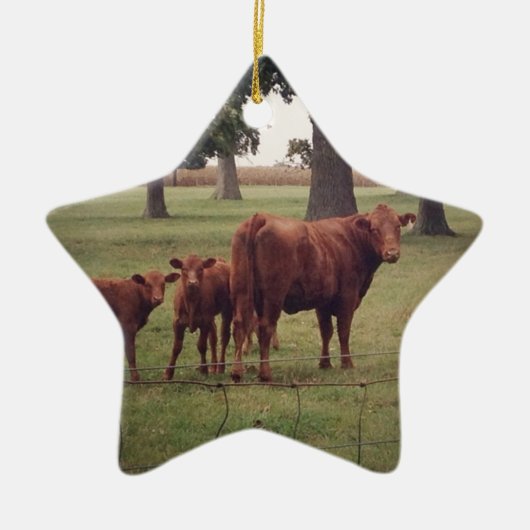 Wie jetzt braune Kuh Keramik Ornament (Vorne)