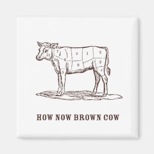 Wie jetzt Brown Cow Magnet