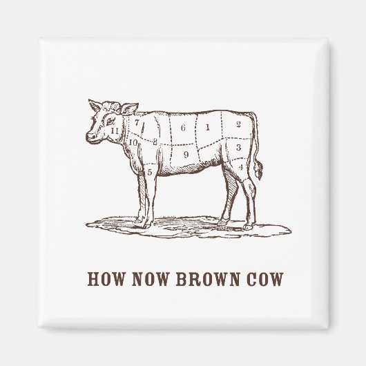 Wie jetzt Brown Cow Magnet (Vorne)