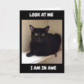 WIE KÖNNEN SIE "50" WENDEN? KARTE (Vorderseite)