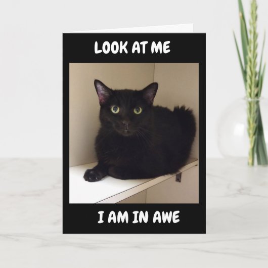 WIE KÖNNEN SIE "50" WENDEN? KARTE (Vorderseite)