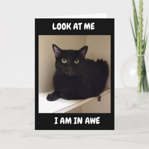 WIE KÖNNEN SIE "50" WENDEN? KARTE