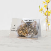 **WIE** KÖNNEN SIE SICH VERWENDEN **70** KARTE (Gelbe Blume)