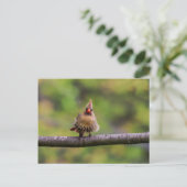Wie läuft Ihr Tag? Postkarte (Stehend Vorderseite)