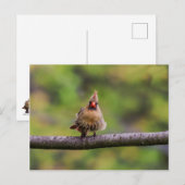 Wie läuft Ihr Tag? Postkarte (Vorne/Hinten)