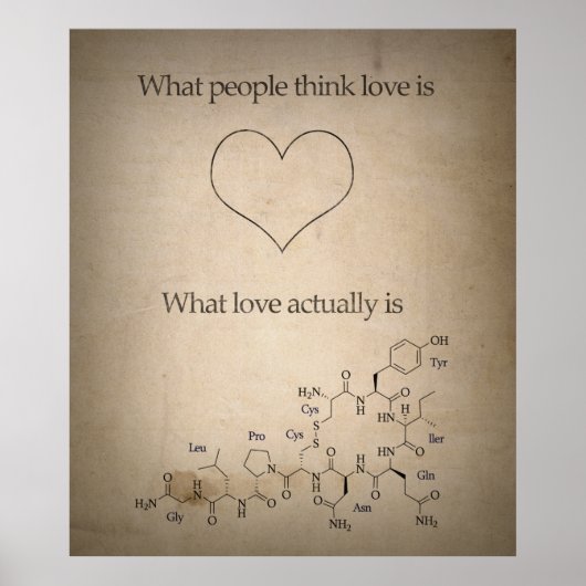 Wie Liebe eigentlich aussieht Poster (Vorne)